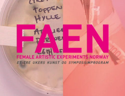 FAEN – Female Artistic Experiments Norway / Atelier Nord, 2019